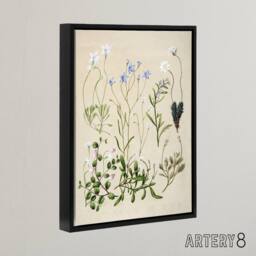 "Artery8 New Zealand Perennial Wild Flowers Featon Framed Canvas Wall Art Print in Beige - Size: W12"" x H16""" - thumbnail 2