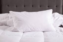 The Linen Consultancy 'TLC 5 Star Hotel Concept' 2 Pack Softened Duck Feather Pillows in White - thumbnail 2