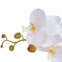 Berkfield Home Artificial Orchid Plant with Pot 65 cm White - thumbnail 2