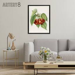 "Artery8 Vintage Illustration of Bigarreau Cherries Wright Framed Canvas Art in White - Size: W12"" x H16""" - thumbnail 3