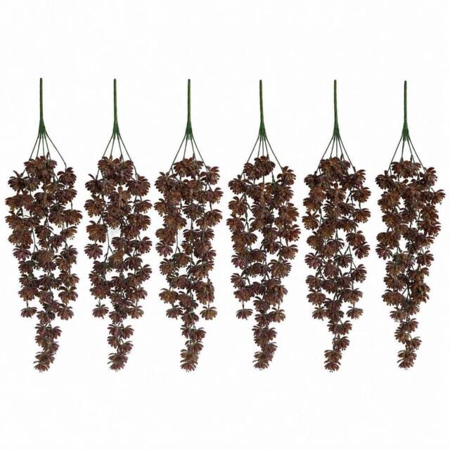 Leaf Pack of 6 x 70cm Artificial Trailing Sedum Succulent Plant Dusty Brown in Dark Brown - Size: 6 x 70 cm - image 1