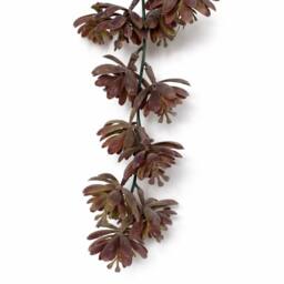 Leaf Pack of 6 x 70cm Artificial Trailing Sedum Succulent Plant Dusty Brown in Dark Brown - Size: 6 x 70 cm - thumbnail 2