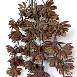 Leaf Pack of 6 x 70cm Artificial Trailing Sedum Succulent Plant Dusty Brown in Dark Brown - Size: 6 x 70 cm - thumbnail 3