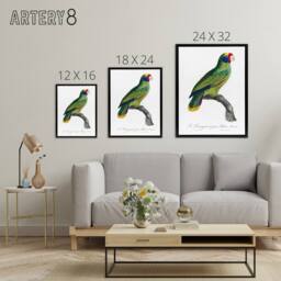 "Artery8 Red & Blue Amazon Parrot Levaillant Framed Canvas Wall Art Print in White - Size: W24"" x H32""" - thumbnail 4