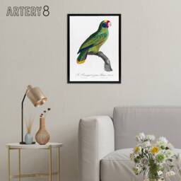 "Artery8 Red & Blue Amazon Parrot Levaillant Framed Canvas Wall Art Print in White - Size: W24"" x H32""" - thumbnail 3