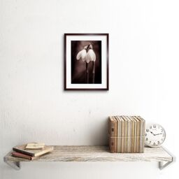 "Artery8 Wall Art Print Two Snowdrops Flowers Artwork Framed 9X7 Inch in Brown - Size: W7"" x H9""" - thumbnail 2