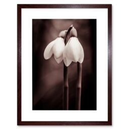 "Artery8 Wall Art Print Two Snowdrops Flowers Artwork Framed 9X7 Inch in Brown - Size: W7"" x H9""" - thumbnail 1