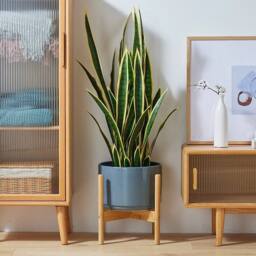 Kelvenix Adjustable Flower Pot Holder Brown Stand Bamboo - thumbnail 3