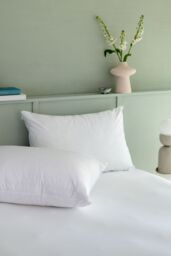 Soak&Sleep Anti Bed Bug Pillow Encasement Pair in White - Size: Standard Pillow Case