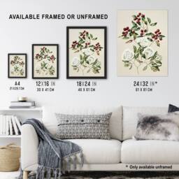 "Artery8 New Zealand Maire Tawake Tree Flowers Featon Framed Wall Art Print in Beige - Size: W12"" x H16""" - thumbnail 3