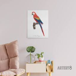 "Artery8 Scarlet Macaw Parrot Francois Levaillant Canvas Wall Art Print in White - Size: W12"" x H16""" - thumbnail 3