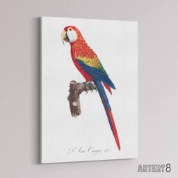 "Artery8 Scarlet Macaw Parrot Francois Levaillant Canvas Wall Art Print in White - Size: W12"" x H16""" - thumbnail 2