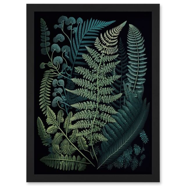 Artery8 Leaf Illustration Fern Fronds Ernst Haeckel Style Artwork Framed Wall Art Print A4 in Black - image 1