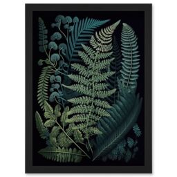 Artery8 Leaf Illustration Fern Fronds Ernst Haeckel Style Artwork Framed Wall Art Print A4 in Black - thumbnail 1