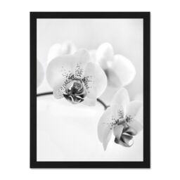 "Artery8 Wall Art Print Orchid Flower Black White Photo Art Large Framed Wall Décor Art - Size: W18"" x H24""" - thumbnail 1