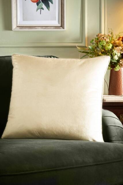 Appletree 'Harlan' Velvet Filled Cushion in Cream - Size: 55 cm x 55 cm - image 1