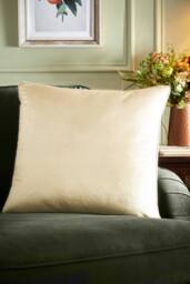 Appletree 'Harlan' Velvet Filled Cushion in Cream - Size: 55 cm x 55 cm