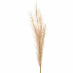 Lemon Pavilion Furniture and Decor Bleached Faux Pampas Grass Stem Artificial Plant - L30 x W30 x H85 cm in Light Sand - thumbnail 2