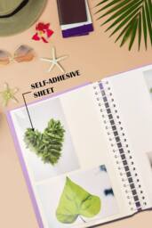 Arpan 2 Pack of Photo Albums Self Adhesive Large Picture Book Modern Style Wiro Binder Totaling 40 Sheets 80 Sides in Blue & Purple - thumbnail 6