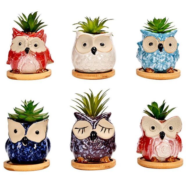 simpa 6PC Cartoon Owl Ceramic Plant Pots with Bamboo Base - image 1