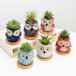 simpa 6PC Cartoon Owl Ceramic Plant Pots with Bamboo Base - thumbnail 3