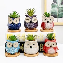 simpa 6PC Cartoon Owl Ceramic Plant Pots with Bamboo Base - thumbnail 2