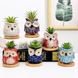 simpa 6PC Cartoon Owl Ceramic Plant Pots with Bamboo Base - thumbnail 4