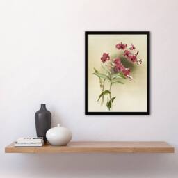 Artery8 Frederick Sander Cooktown Pink Orchid Flowers Framed Wall Art Print - Size: A4 - thumbnail 4