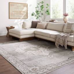 Livabliss Fifth Avenue-Vintage Brown Off-White Grey Traditional Boho Living Rug - Size: 200 cm x 275 cm - thumbnail 1