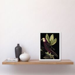 Artery8 Burgundy Parrot Leaves Tree Branch on Black Vintage Linocut Illustration Artwork Framed Wall Art Print A4 in White - thumbnail 2