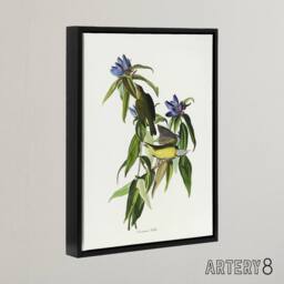"Artery8 Connecticut Warbler Bird Audubon Nature Black Framed Canvas Wall Art in White - Size: W12"" x H16""" - thumbnail 2