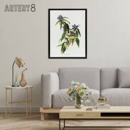 "Artery8 Connecticut Warbler Bird Audubon Nature Black Framed Canvas Wall Art in White - Size: W12"" x H16""" - thumbnail 3