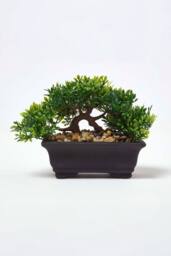 Homescapes Set of 2 Artificial Bonsai Trees in Decorative Pots, 15 cm Tall in Green - thumbnail 3