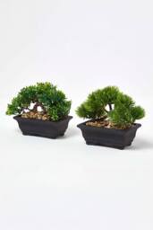 Homescapes Set of 2 Artificial Bonsai Trees in Decorative Pots, 15 cm Tall in Green - thumbnail 4