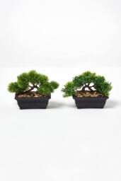 Homescapes Set of 2 Artificial Bonsai Trees in Decorative Pots, 15 cm Tall in Green - thumbnail 1