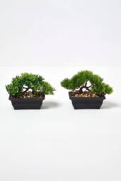 Homescapes Set of 2 Artificial Bonsai Trees in Decorative Pots, 15 cm Tall in Green - thumbnail 6