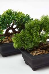 Homescapes Set of 2 Artificial Bonsai Trees in Decorative Pots, 15 cm Tall in Green - thumbnail 8