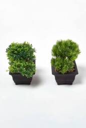 Homescapes Set of 2 Artificial Bonsai Trees in Decorative Pots, 15 cm Tall in Green - thumbnail 5
