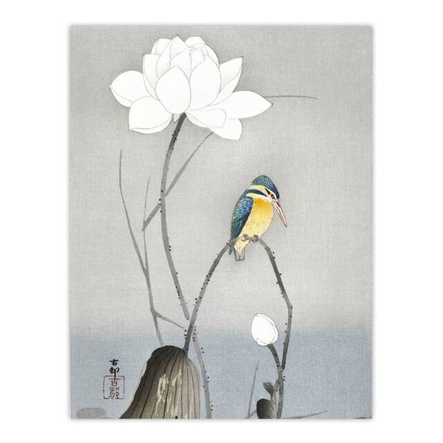 "Artery8 Kingfisher With Lotus Flower Vintage Japan Wall Art Print Koson in Grey - Size: W12"" x H16""" - image 1
