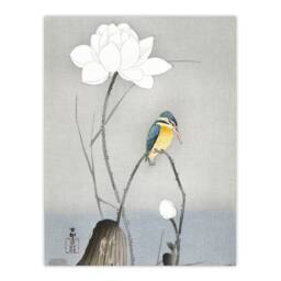 "Artery8 Kingfisher With Lotus Flower Vintage Japan Wall Art Print Koson in Grey - Size: W12"" x H16""" - thumbnail 1