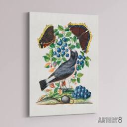 "Artery8 Northern Wheatear & Mourning Cloak Bolton Canvas Wall Art - Size: W18"" x H24""" - thumbnail 2