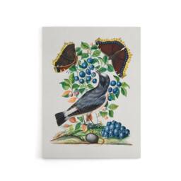 "Artery8 Northern Wheatear & Mourning Cloak Bolton Canvas Wall Art - Size: W18"" x H24""" - thumbnail 1