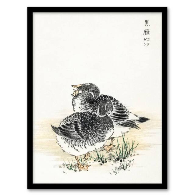 Artery8 Black Brant Geese Pictorial Monograph Birds Framed Wall Art Print Kashu in Beige - Size: A4 - image 1