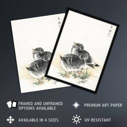 Artery8 Black Brant Geese Pictorial Monograph Birds Framed Wall Art Print Kashu in Beige - Size: A4 - thumbnail 2