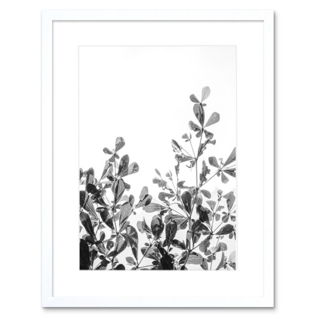"Artery8 Wall Art Print Black White Photography Plant Framed - Size: W7"" x H9""" - image 1