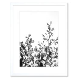 "Artery8 Wall Art Print Black White Photography Plant Framed - Size: W7"" x H9""" - thumbnail 1