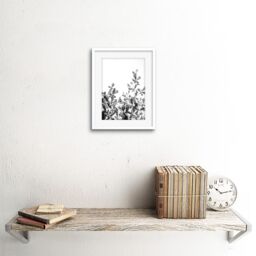 "Artery8 Wall Art Print Black White Photography Plant Framed - Size: W7"" x H9""" - thumbnail 2