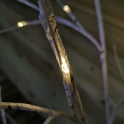 Samuel Alexander 1.5m (5ft) Light up Christmas Birch Tree with 64 Warm White LEDs in Beige - thumbnail 4