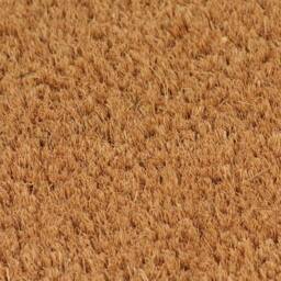 Berkfield Home Door Mats 2 pcs Natural 40x60 cm Tufted Coir in Brown - thumbnail 3