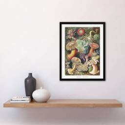 Artery8 Sea Anemone Marine Landscape Haeckel Botanical Framed Wall Art Print - Size: A4 - thumbnail 4